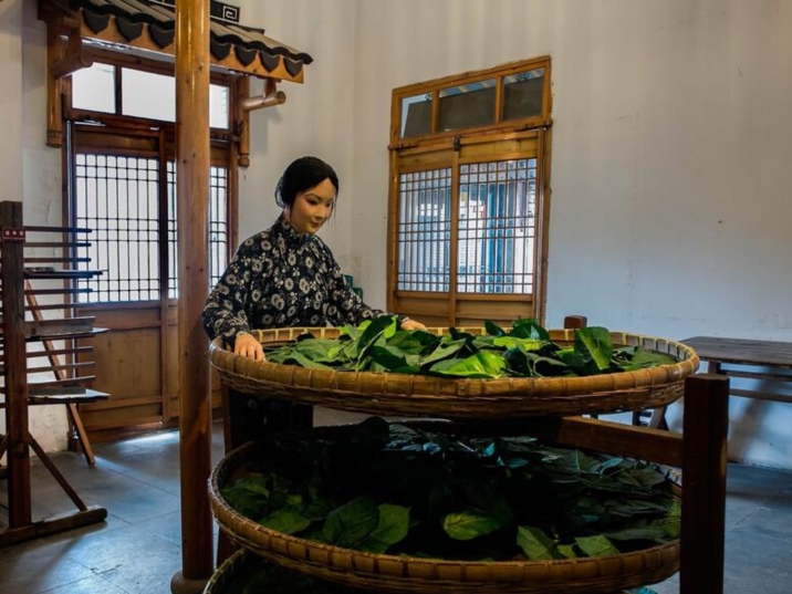 Suzhou Silk Museum