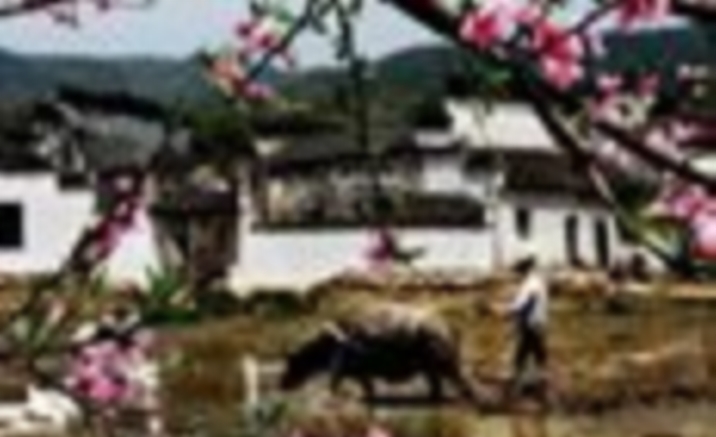 World Bank backs China's ancient village renovation