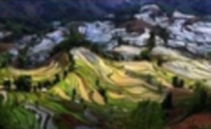 China’s Hani Rice Terraces added to World Heritage List