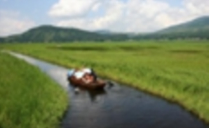 Yunnan tops in China for wetland biodiversity