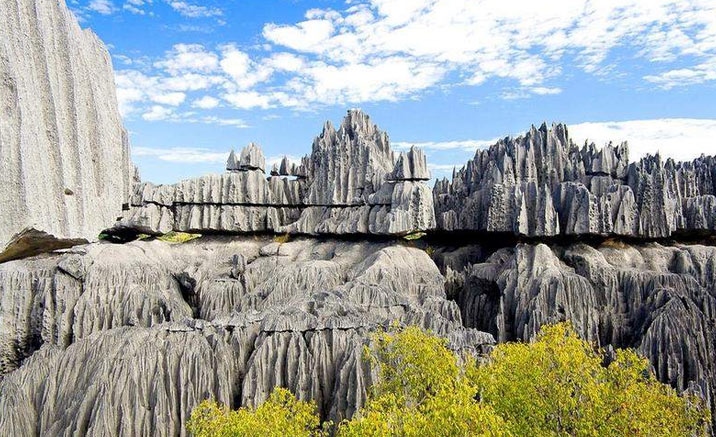 Stone forests geological park 