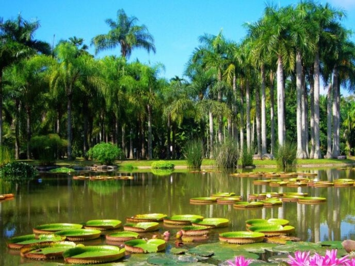 Menglun Tropical Botanical Garden