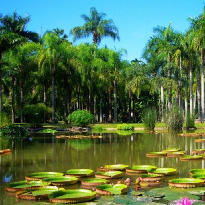 Menglun Tropical Botanical Garden