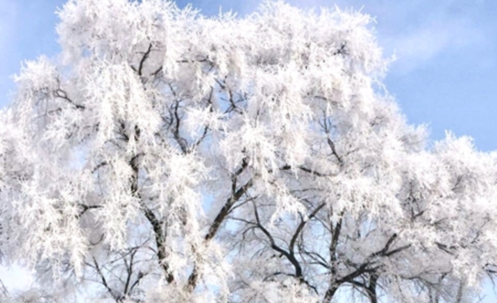 霧凇島の樹氷を観測　吉林が冬の観光シーズンに