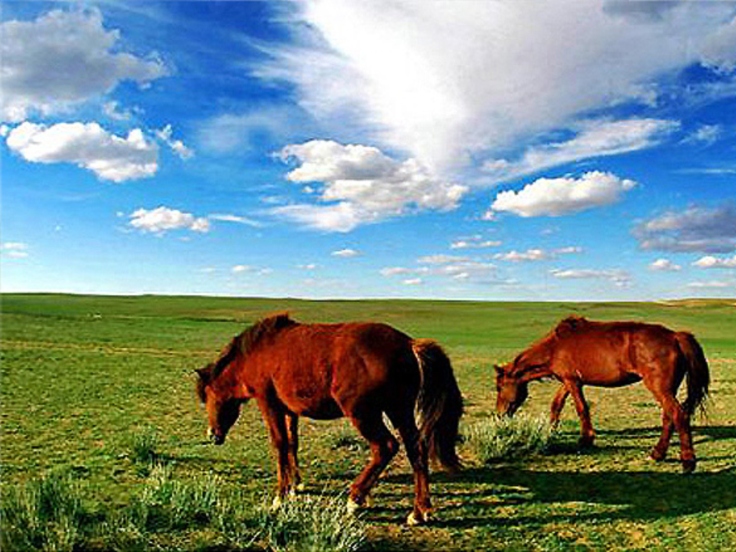 La prairie vaste de la Mongolie Intérieure