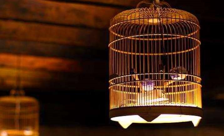 Birdcage Cultural Museum opens in Chengdu
