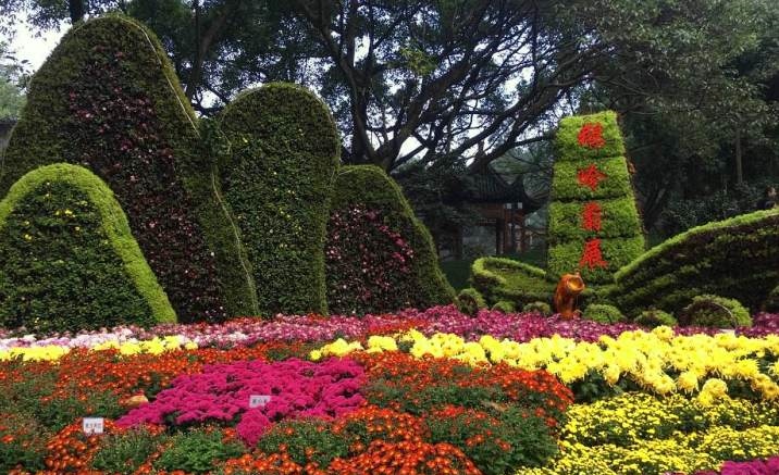 Chongqing Eling Park opens Autumn Chrysanthemum Exhibition