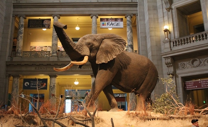 Beijing to build the National Museum of Natural History