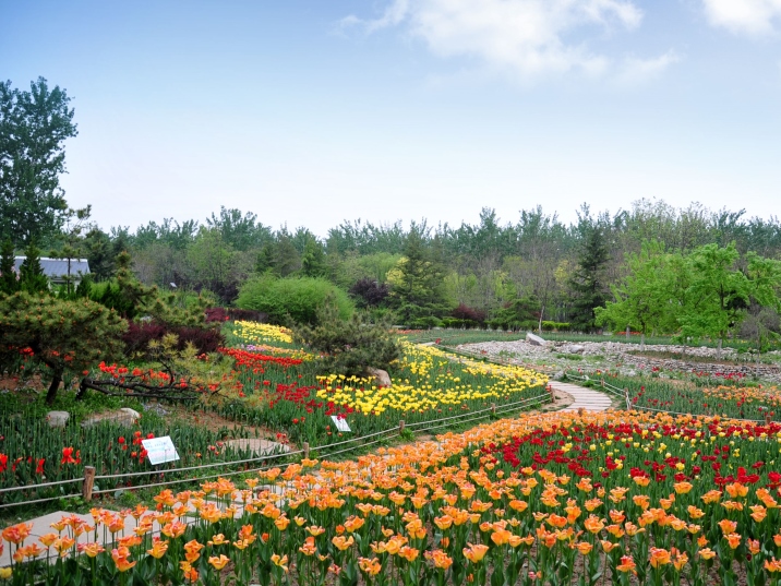 Jinan Botanical Garden