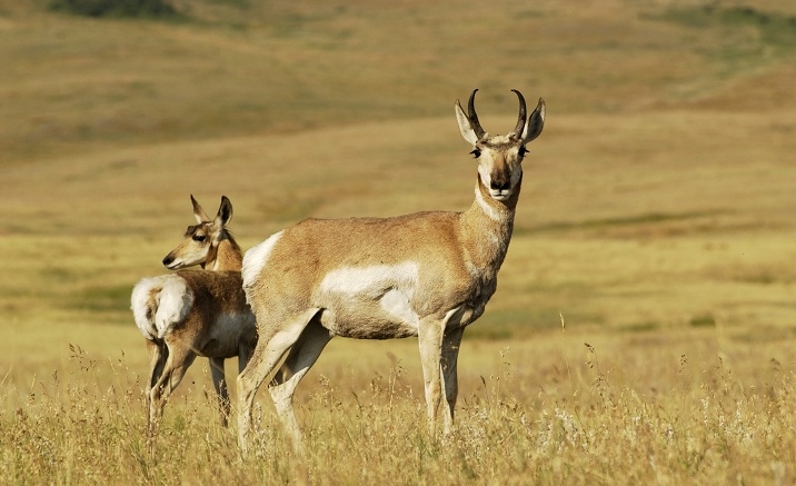 Haikou opens photo exhibition on wild animals