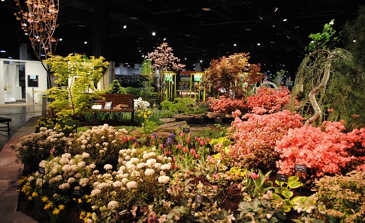The 10th China Flower Expo to open soon in Shanghai