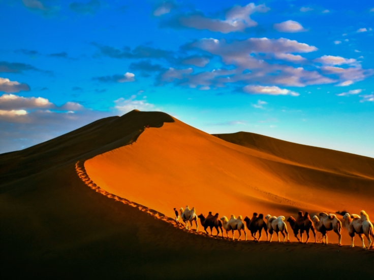 Silk Road Desert Adventure