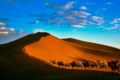 VCG211135283411-亚洲东亚中国新疆维吾尔自治区山形-新疆沙漠驼队