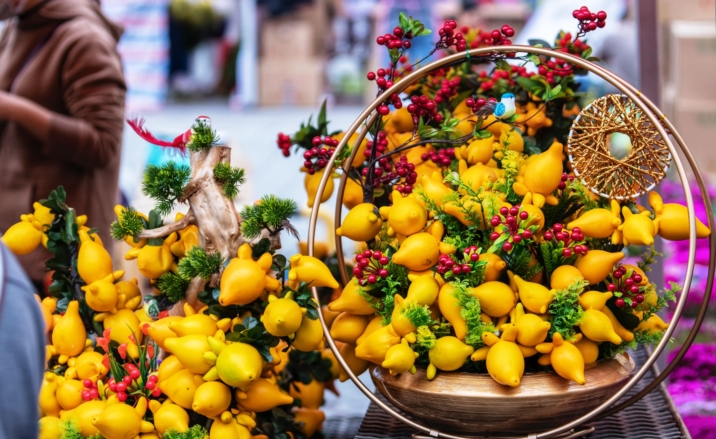 Guangzhou launches Intangible Cultural Heritage for Spring Festival themed activity