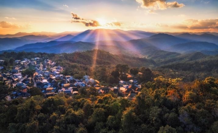 Ancient tea forests and traditional tea culture at UNESCO-listed Jingmai Mountain in Yunnan, China