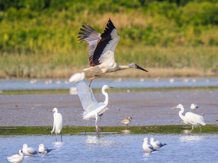 Hong Kong Nature & Hiking Tour Hong Kong Nature & Hiking Tour