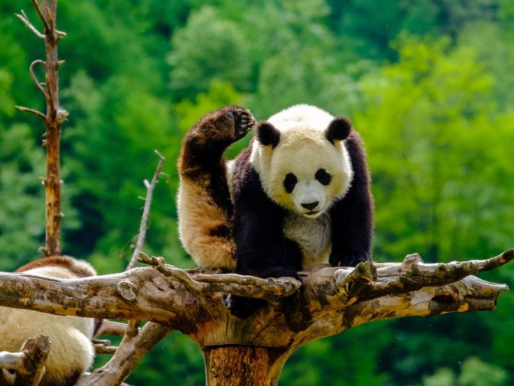 Viaje Familiar en China