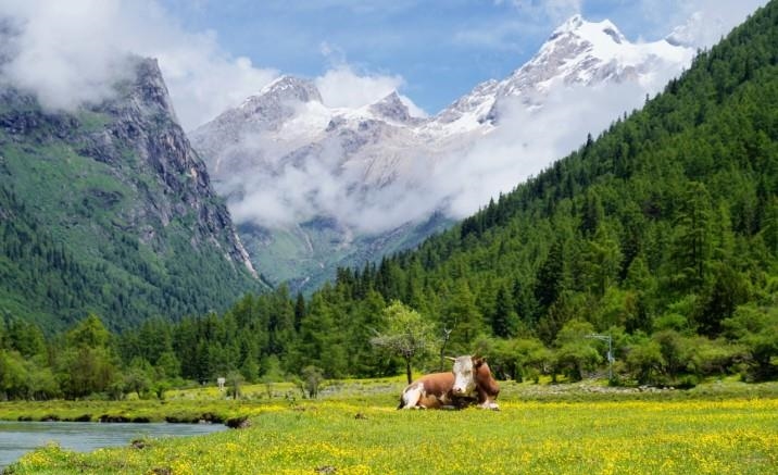 Mount Siguniang UNESCO Global Geopark officially opens to the public