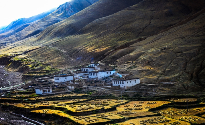 Xizang inaugurates its first batch of regional archaeological site parks 