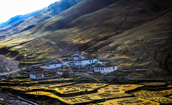 Xizang inaugurates its first batch of regional archaeological site parks 
