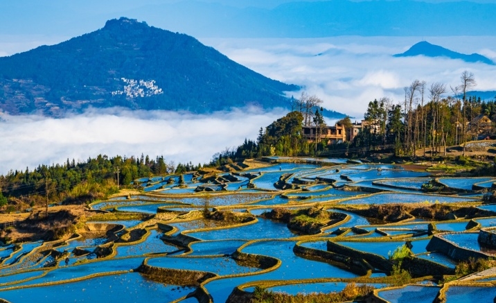 Summer Yunnan Travel FAQ: Cool Escapes, Ethnic Minorities, and Wild Nature Encounters