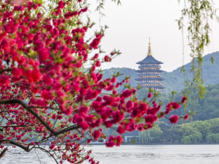 Shanghai, Wenzhou, Hangzhou & Suzhou Classic Tour Shanghai, Wenzhou, Hangzhou & Suzhou Classic Tour