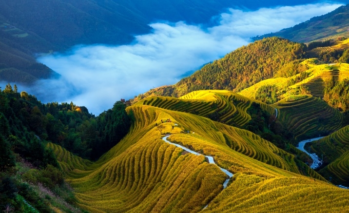 Autumn in China: 6 Premier Destinations & Practical Guide