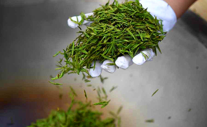Concours de cuisson de feuilles de thé (vert) Longjing - Hangzhou, province Zhejiang (2)