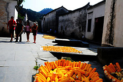 Village traditionnel de Hongcun