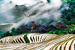 rizières en terrasse Longji au village Ping'an - Longsheng -1